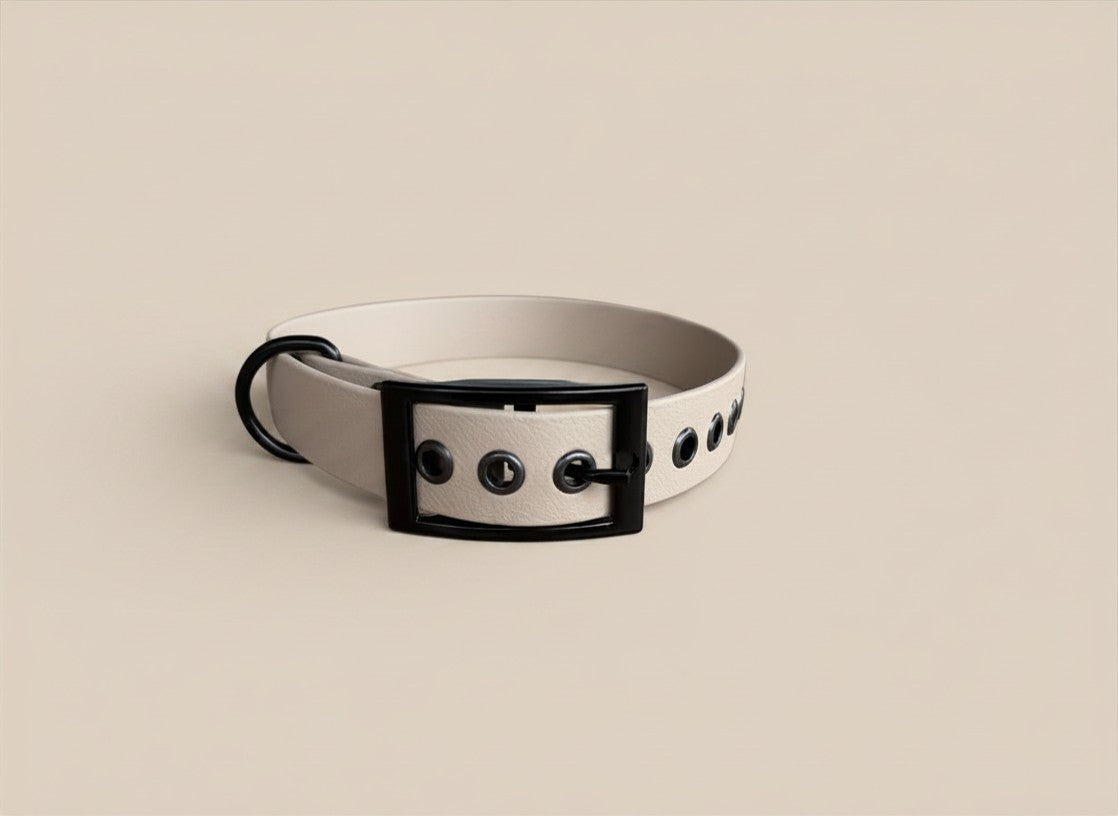 collier taupe biothane pour chien 