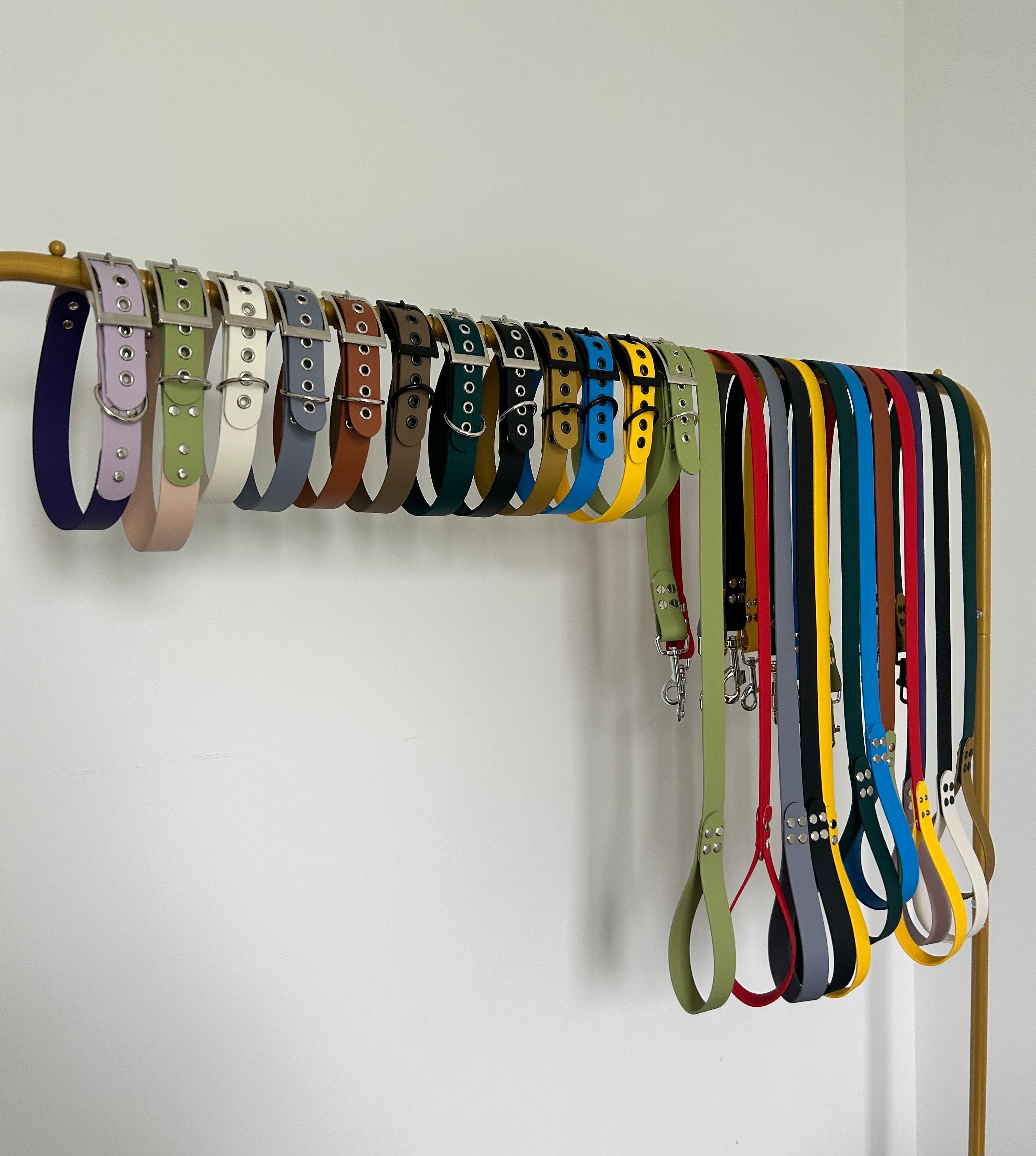 Laisse et collier en biothane pour chiens sur fond minimaliste accrocher a un portant doré 