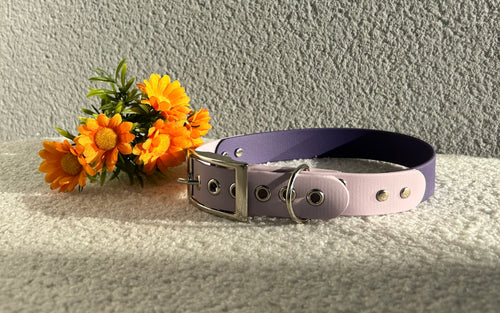 Collier pour chien lilas et violet  en biothane  avec boucle argentée, posé sur un tissu clair avec des fleurs orange