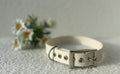 Collier pour chien blanc creme en biothane  avec boucle argentée, posé sur un tissu clair avec des fleurs blanches