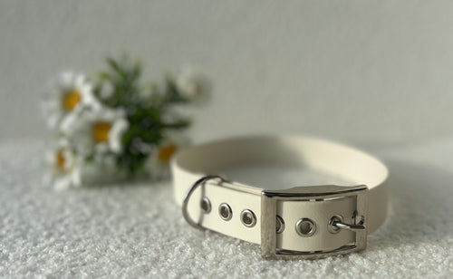 Collier pour chien blanc creme en biothane  avec boucle argentée, posé sur un tissu clair avec des fleurs blanches