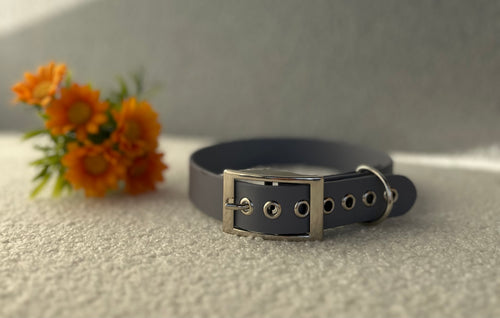 Collier pour chien gris chaud en biothane  avec boucle argentée, posé sur un tissu clair avec des fleurs orange