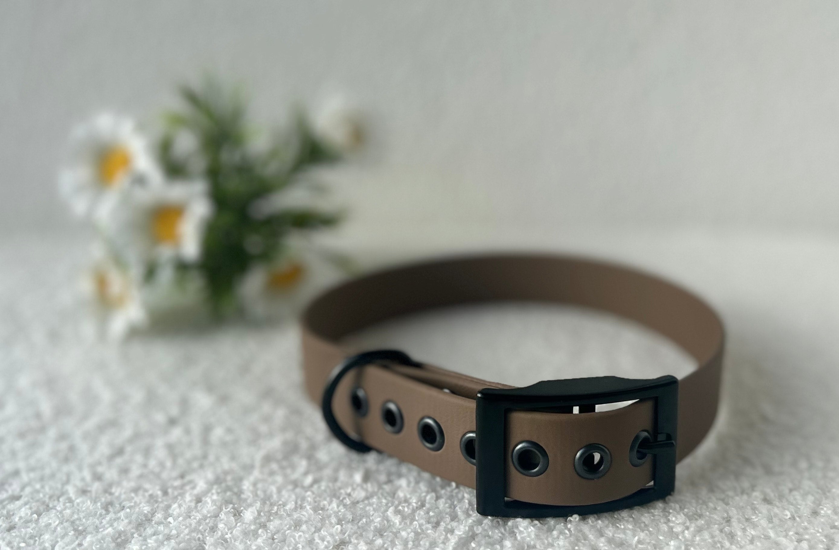 Collier pour chien marron chocolat en biothane  avec boucle noir, posé sur un tissu clair avec des fleurs blanches