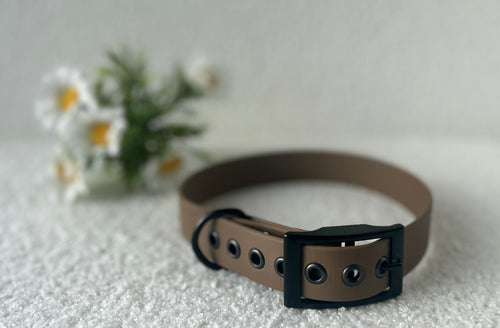 Collier pour chien marron chocolat en biothane  avec boucle noir, posé sur un tissu clair avec des fleurs blanches