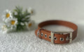 Collier pour chien sable chaud en biothane  avec boucle argentée, posé sur un tissu clair avec des fleurs blanches