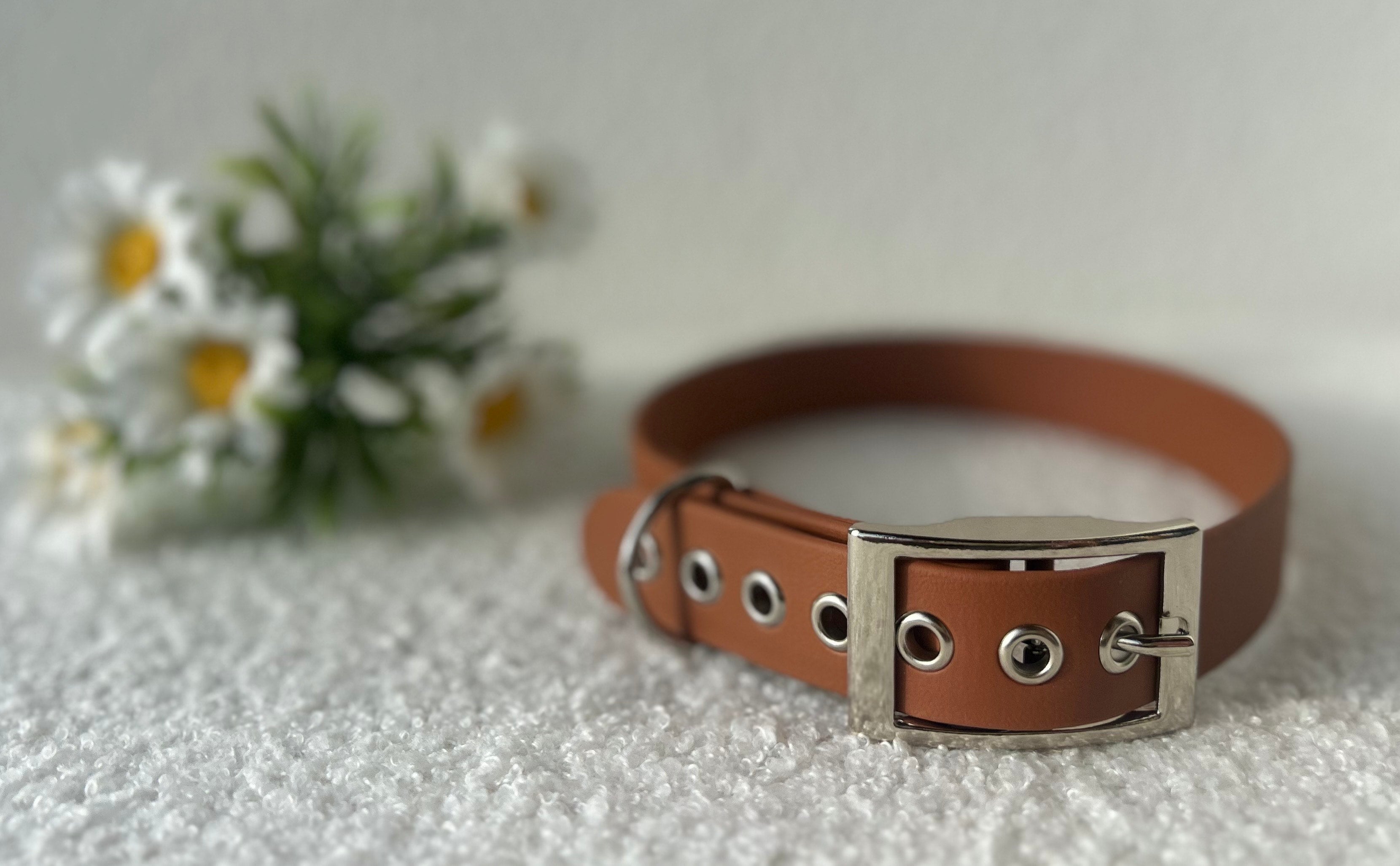 Collier pour chien sable chaud en biothane  avec boucle argentée, posé sur un tissu clair avec des fleurs blanches