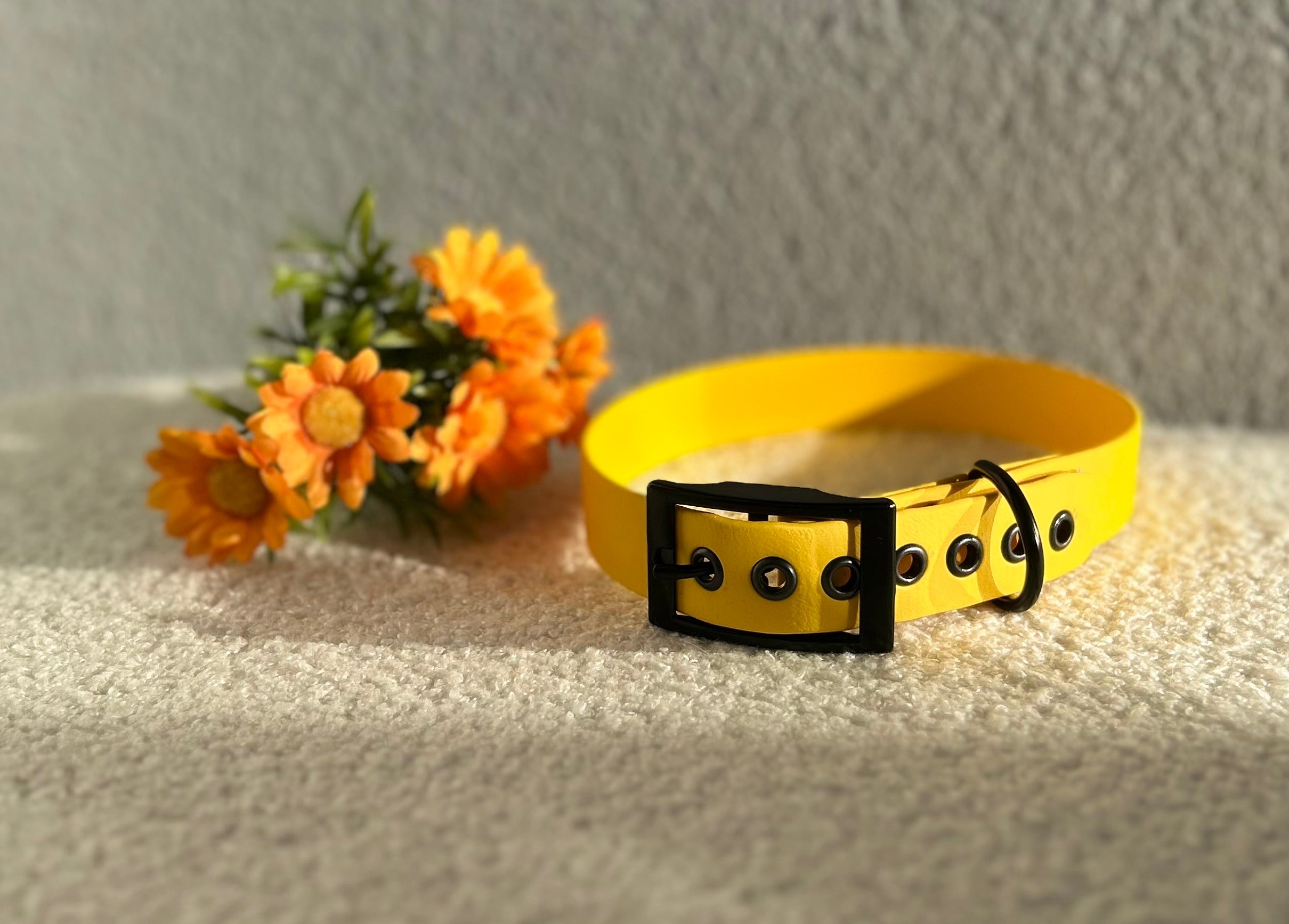 Collier pour chien jaune en biothane avec boucle noir, posé sur un tissu clair avec des fleurs jaunes