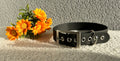 Collier pour chien noir en biothane avec boucle argentée, posé sur un tissu clair avec des fleurs jaunes