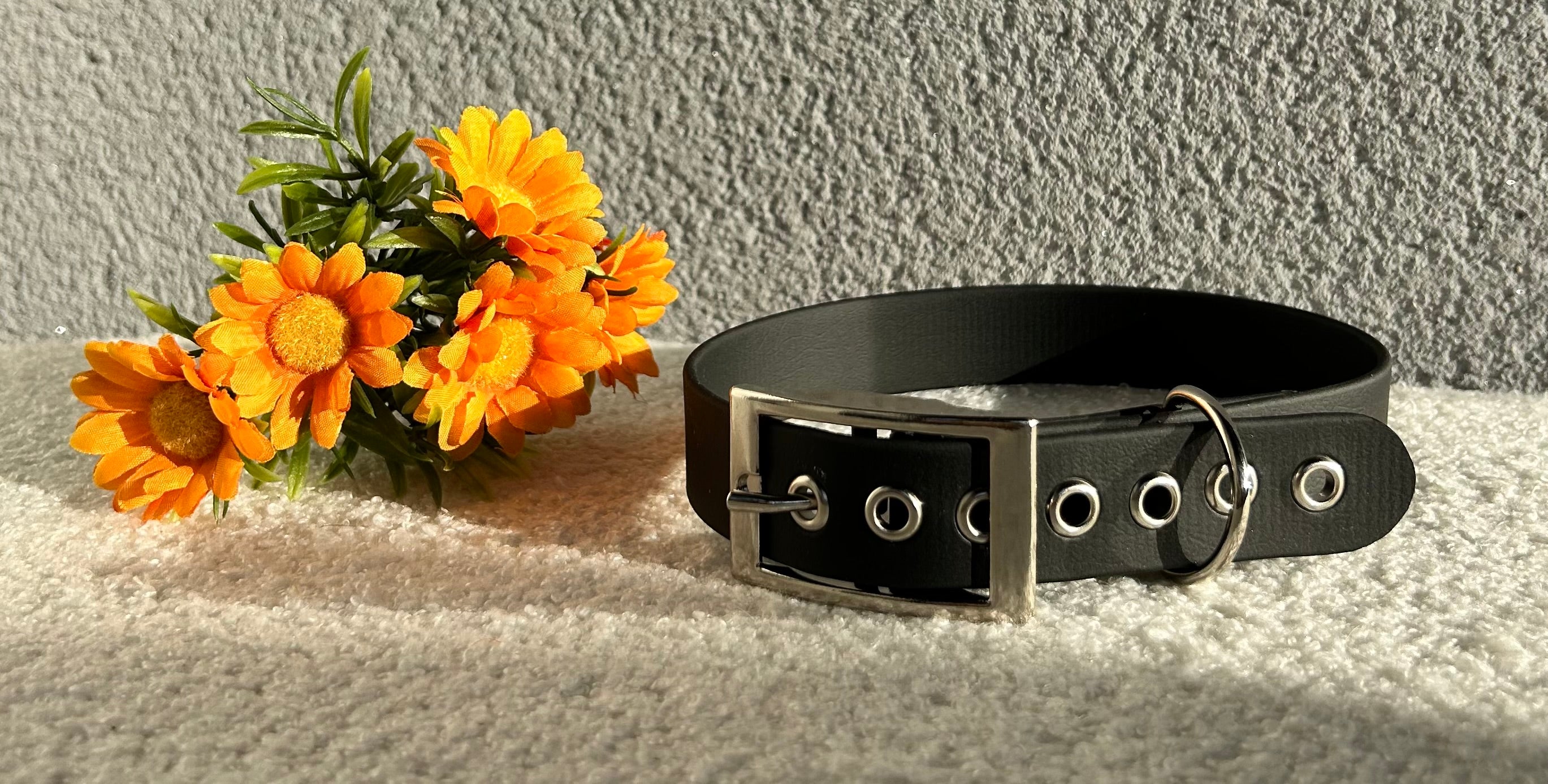 Collier pour chien noir en biothane avec boucle argentée, posé sur un tissu clair avec des fleurs jaunes