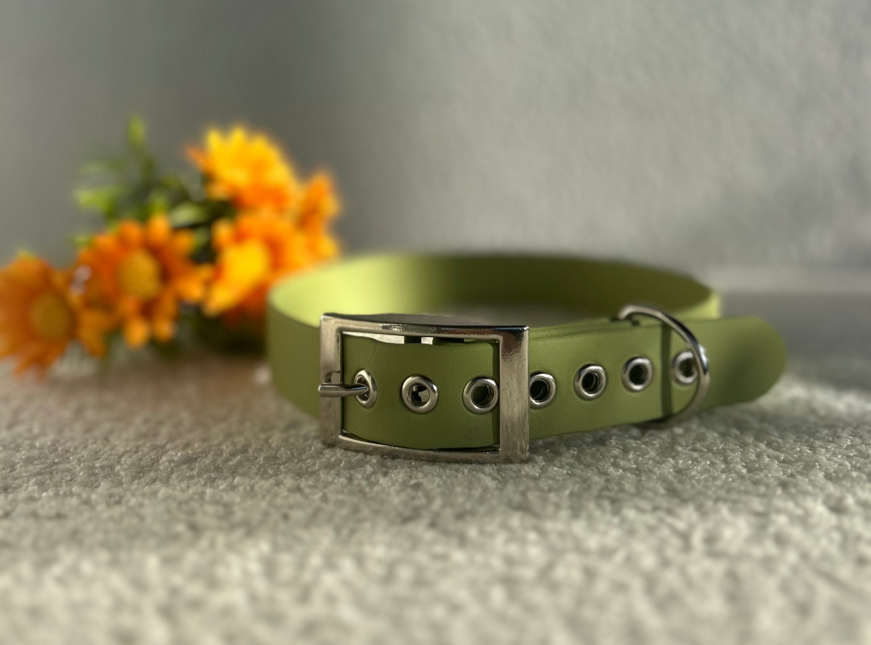 Collier pour chien vert sauge en biothane  avec boucle argentée, posé sur un tissu clair avec des fleurs jaunes