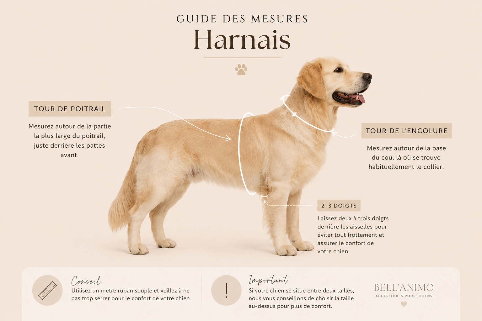 Harnais