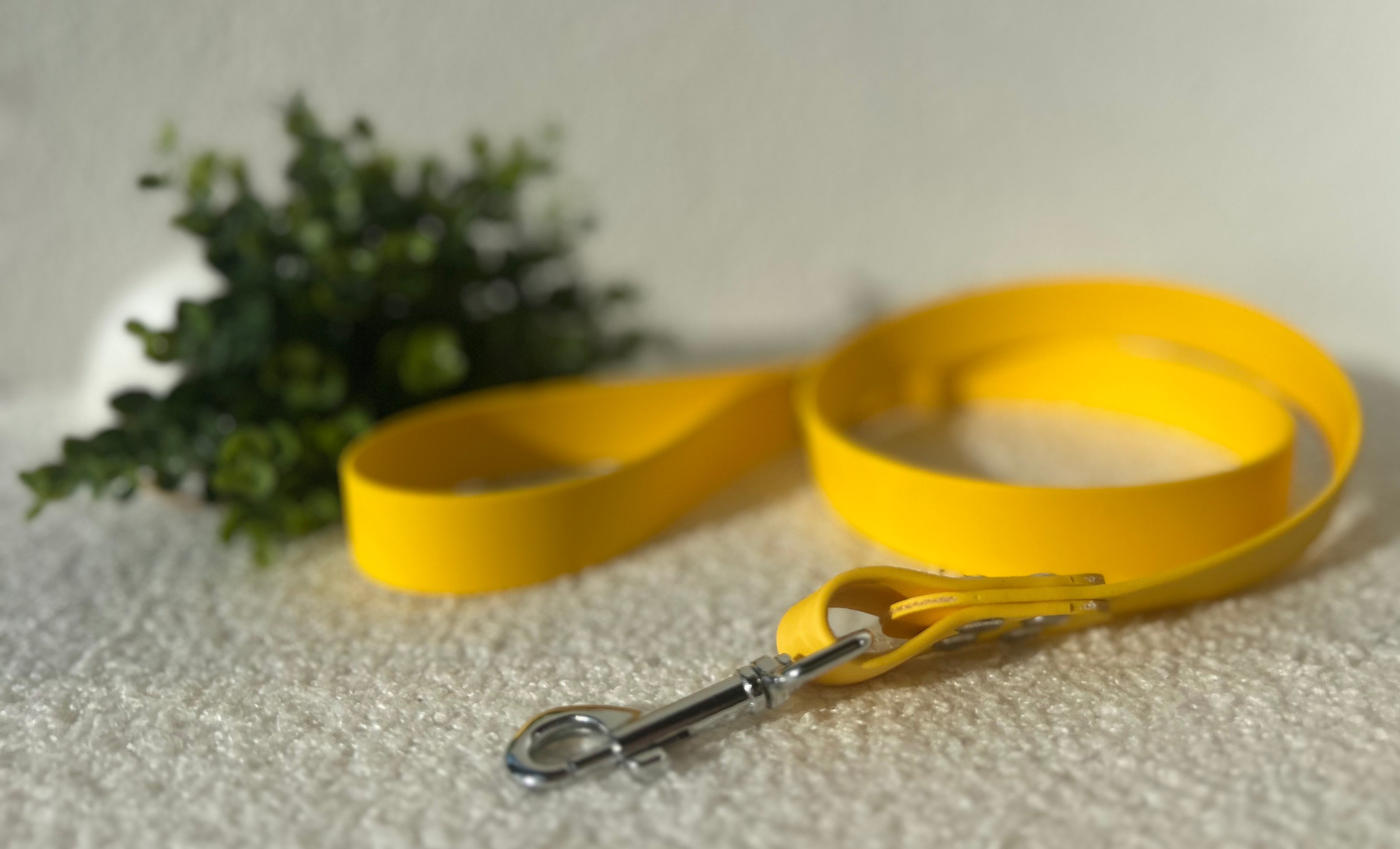 Laisse pour chien jaune en biothane avec boucle argentée, posé sur un tissu clair avec en fond du feuillages