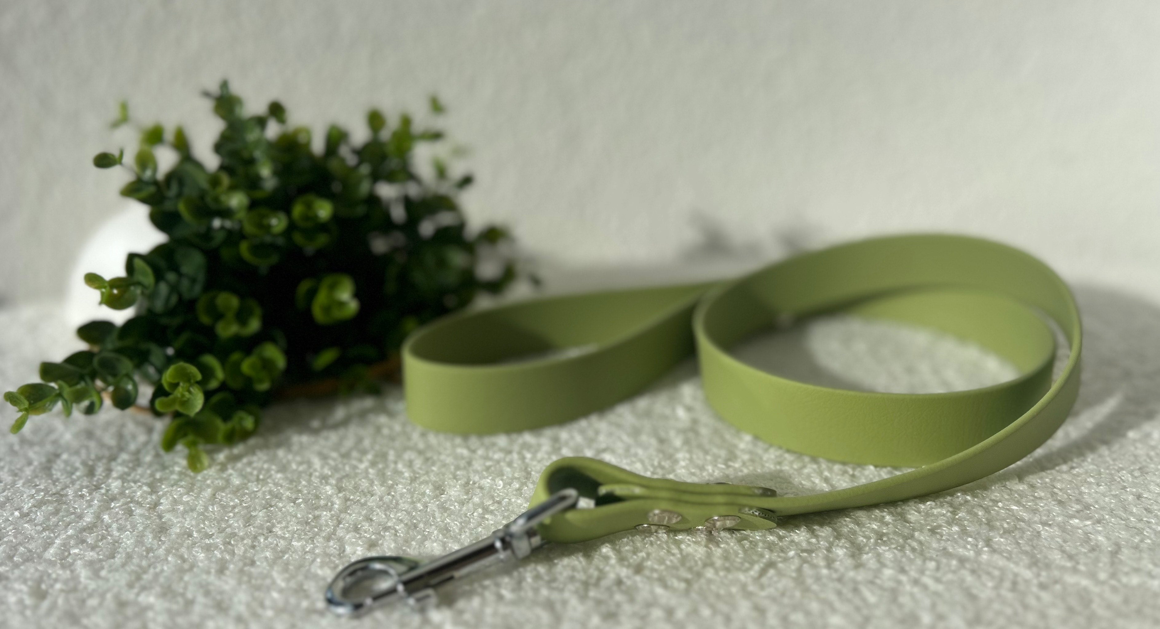 Laisse pour chien vert en biothane avec boucle argentée, posé sur un tissu clair avec en fond du feuillages