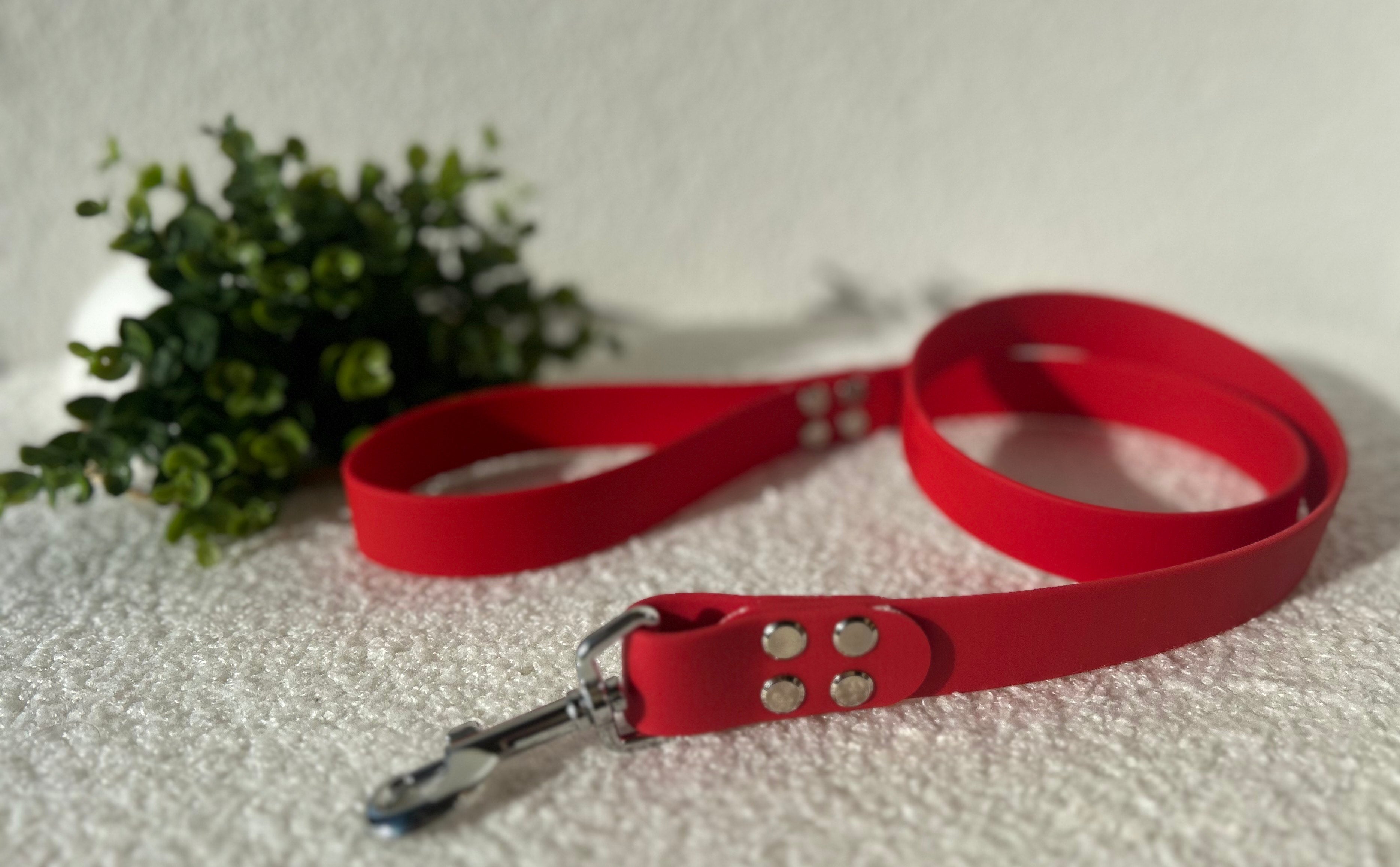 Laisse pour chien rouge en biothane avec boucle argentée, posé sur un tissu clair avec en fond du feuillages