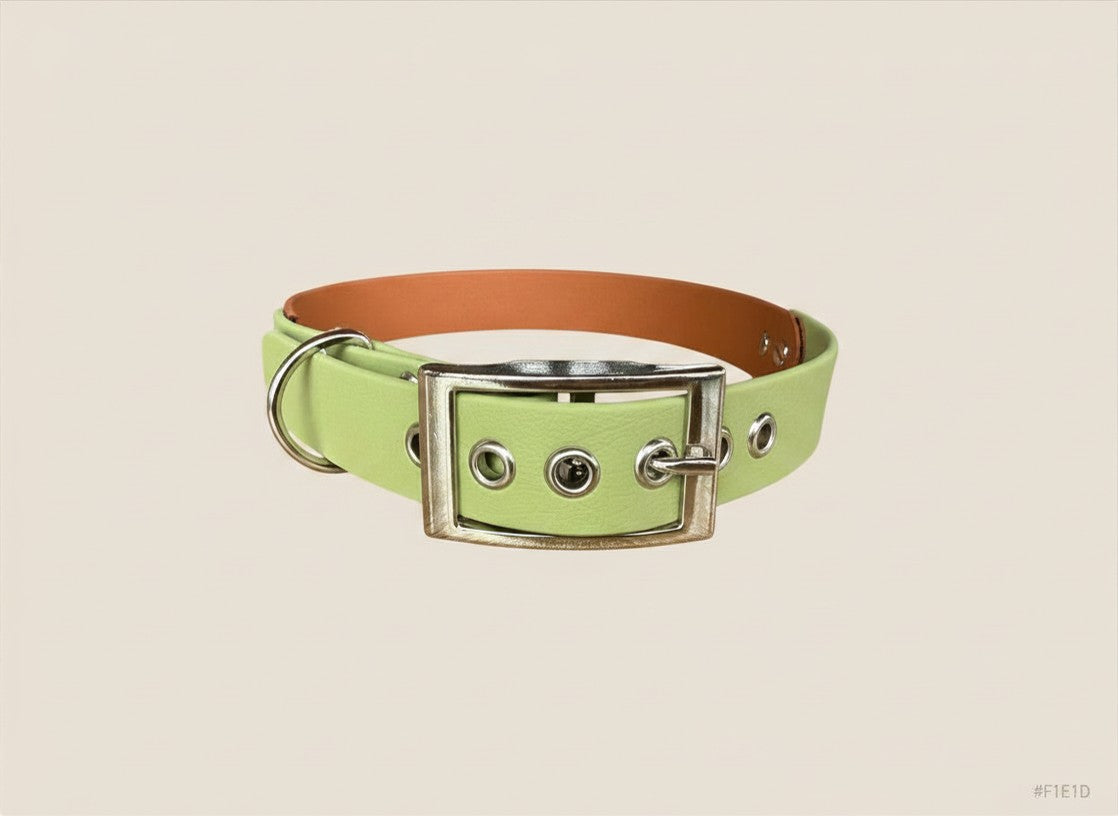Collier pour chien - Bicolore