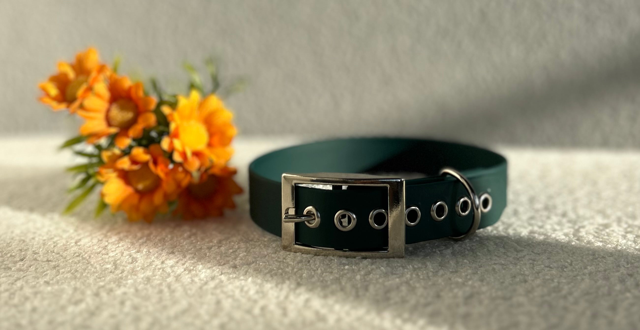 Collier pour chien vert foncée en biothane avec boucle argentée, posé sur un tissu clair avec des fleurs jaunes