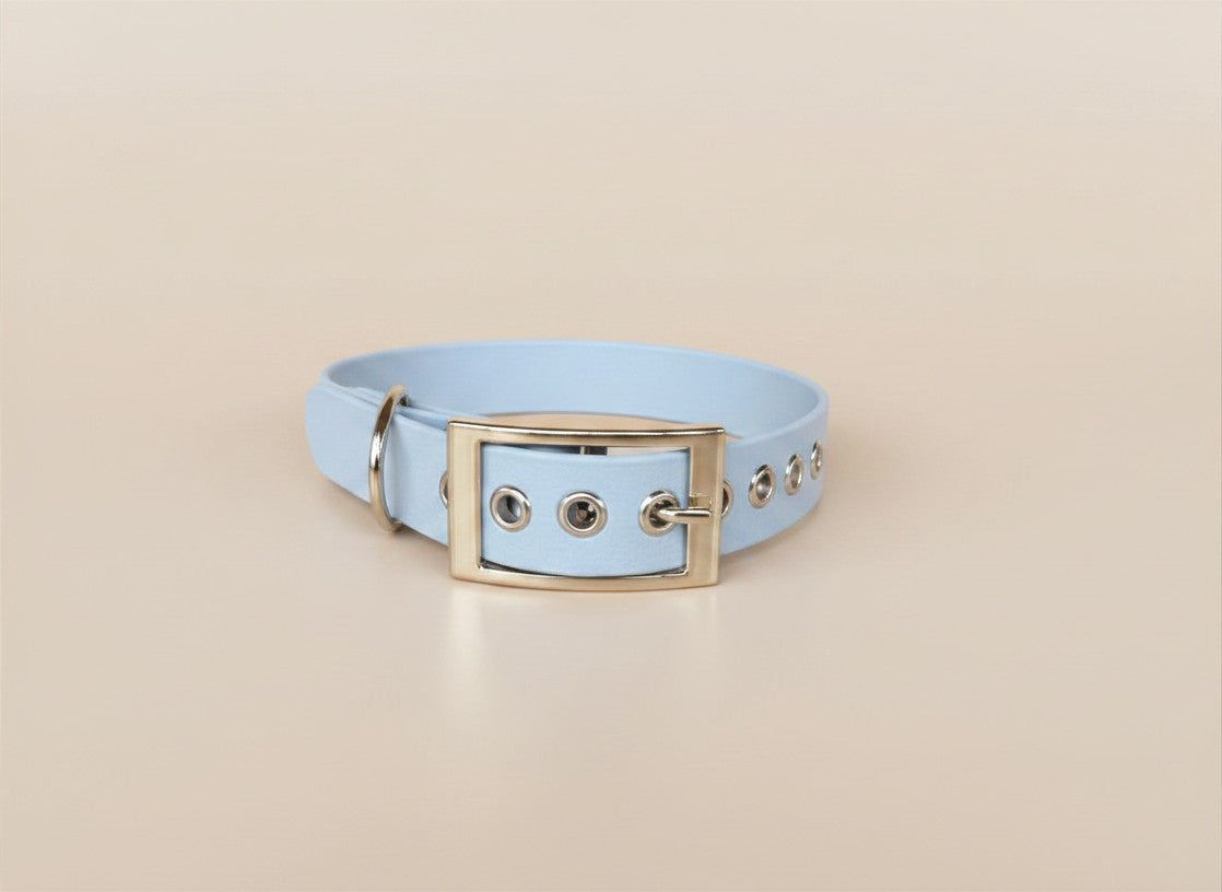 Collier pour chien - Édition Été