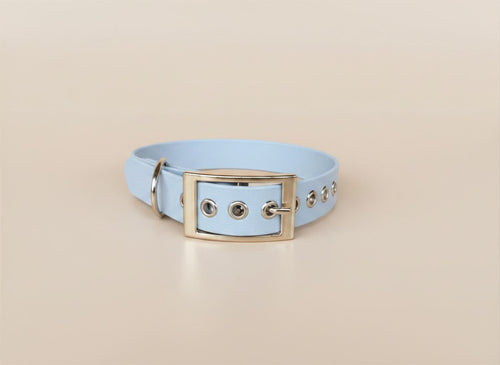 Collier pour chien - Édition Été