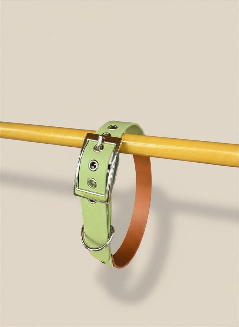Collier pour chien - Bicolore