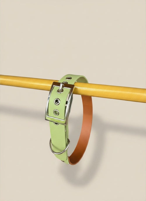 Collier pour chien - Bicolore