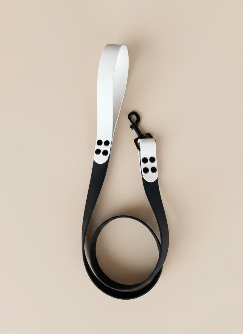 Laisse pour chien - Bicolore