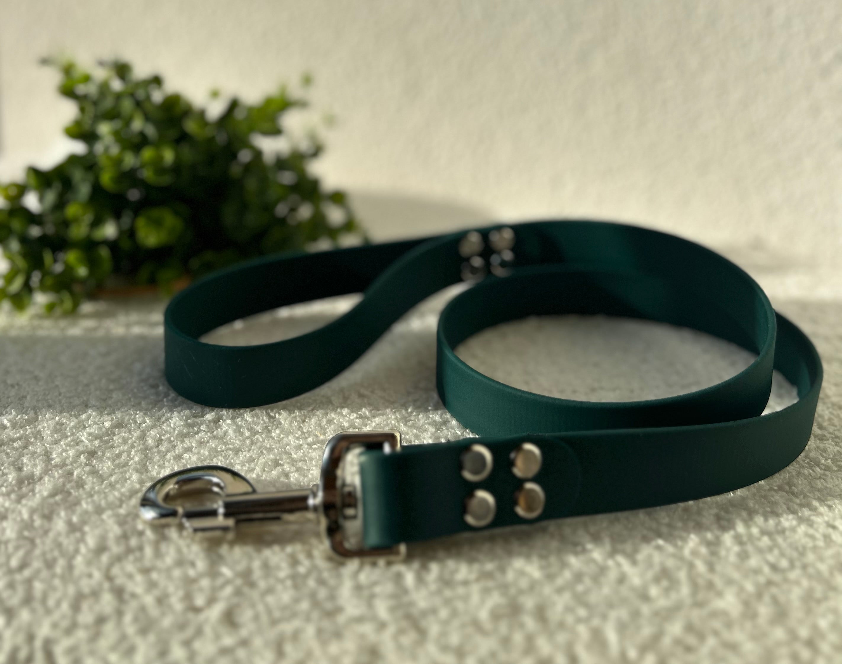 Laisse pour chien vert foncée en biothane avec boucle argentée, posé sur un tissu clair avec en fond du feuillages