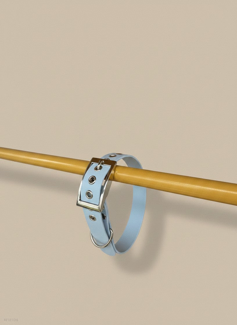 Collier pour chien - Édition Été